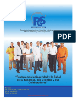 Brochure Pioneros Consulting Safety