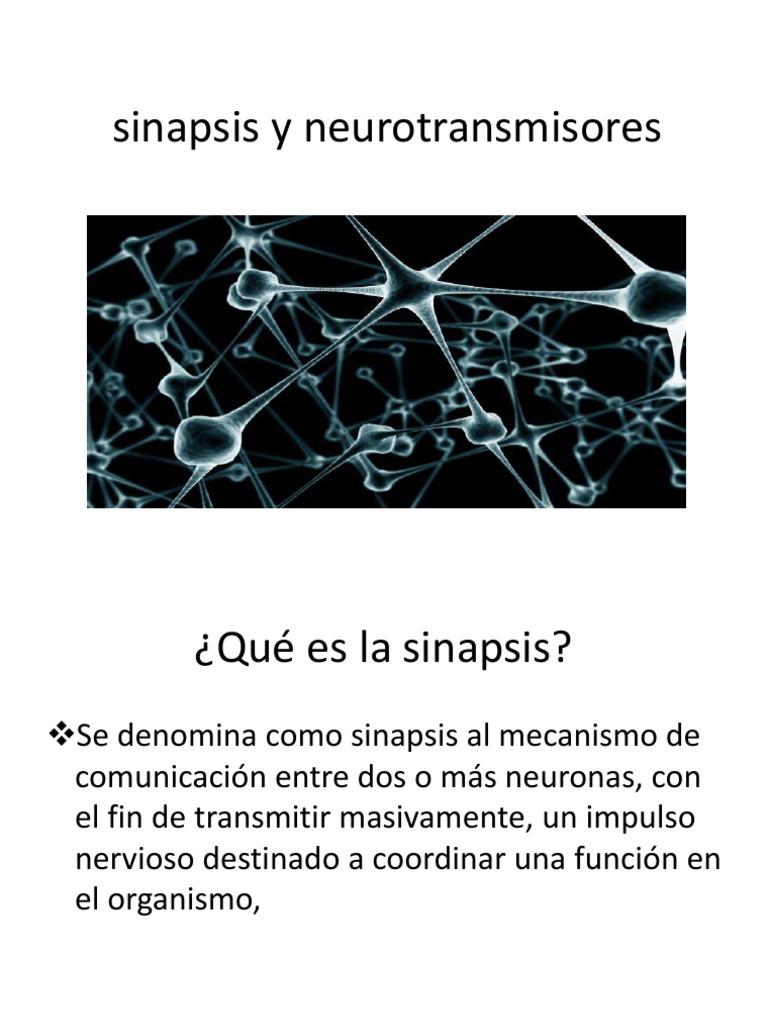 Sinapsis y neurotransmisores explicados | PDF | Neurona | Sinapsis