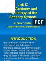 Unit IX The Anatomy and Physiology of The Sensory System