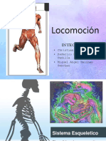 Locomocion