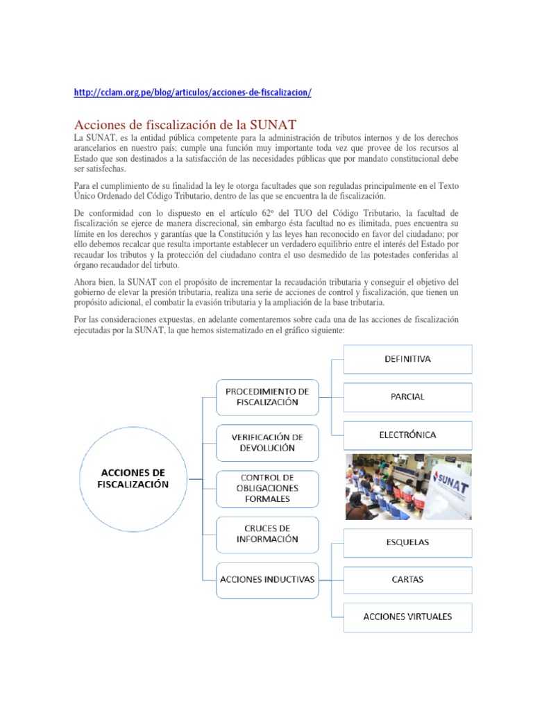 Acciones de Fiscalización de la SUNAT | PDF | Constitución | Regulación