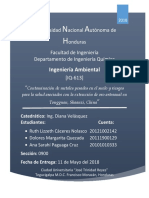 Seminario Final AMBIENTAL