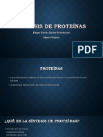 Síntesis de Proteínas