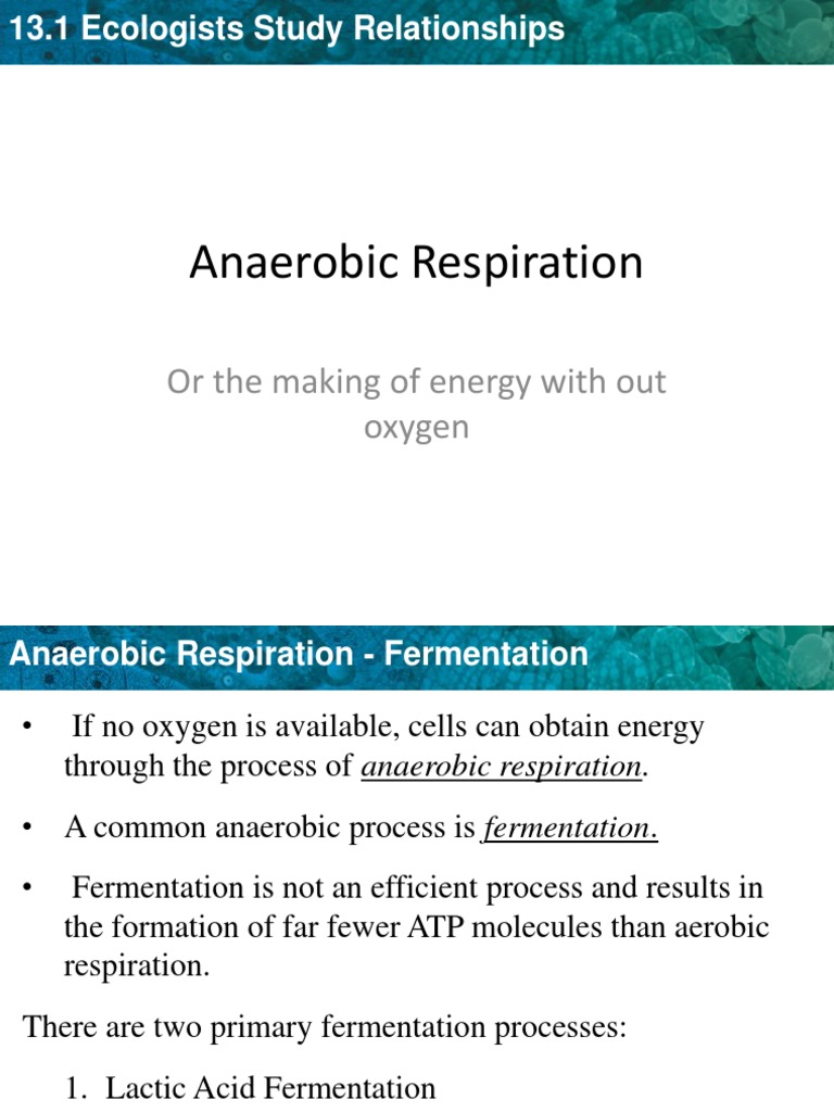Anaerobic Respiration: or The Making of Energy With Out Oxygen | PDF ...