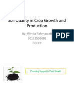 Soil Quality in Crop Growth and Production: By: Winda Rahmawati 20122502001 DD Ifp