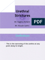 Urethral Strictures: Mr. Kagimu Richard Mr. Kisuule Castro