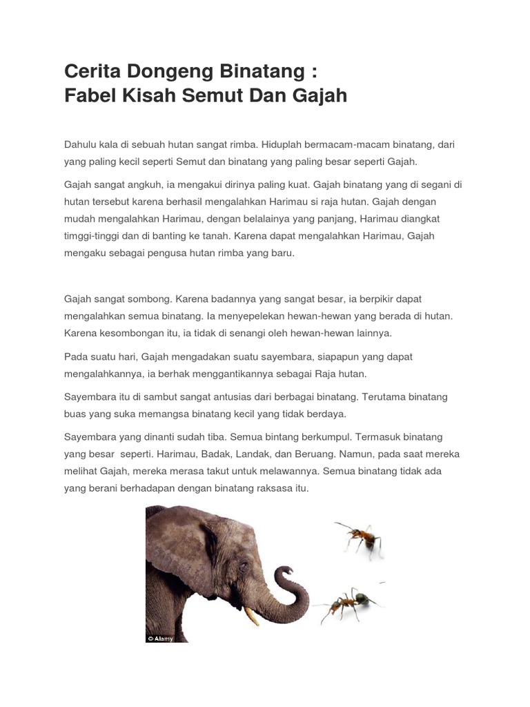 100 Gambar Cerita Semut Dan Gajah Hd Terbaik Gambar Id