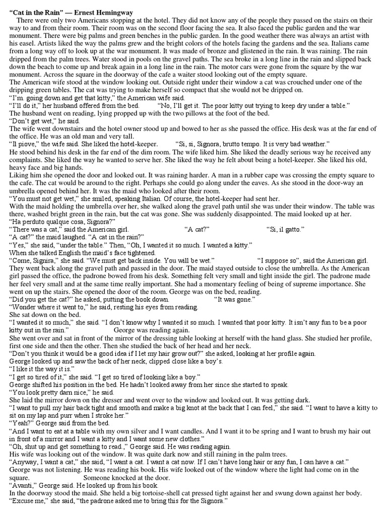 Cat in the rain theme image