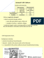 Animal Cell Culture: Eucaryotes Procaryotes Size Shape Locomotion Border
