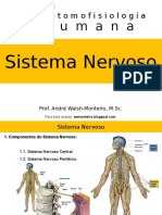 I Curso de Anatomofisiologia Humana - Sistema Nervoso