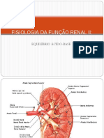 Fisiologia Da Função Renal