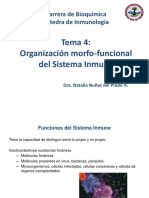 04 - Organización Morfo-Funcional Del SI - NNP