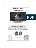 SindromeAnemico.pdf