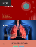 Sistema Respiratorio