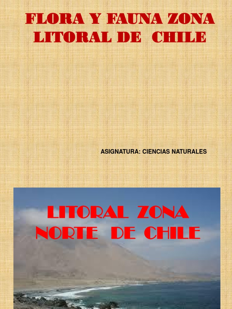 Flora y Fauna del Litoral Norte de Chile | PDF