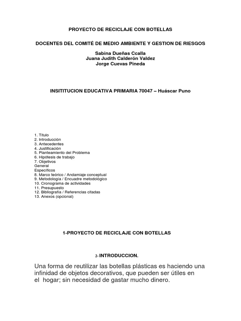 Proyecto Escolar de Reciclaje de Botellas | PDF | Reciclaje | Residuos