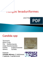 TEORIA 9. Hongos Levaduriformes