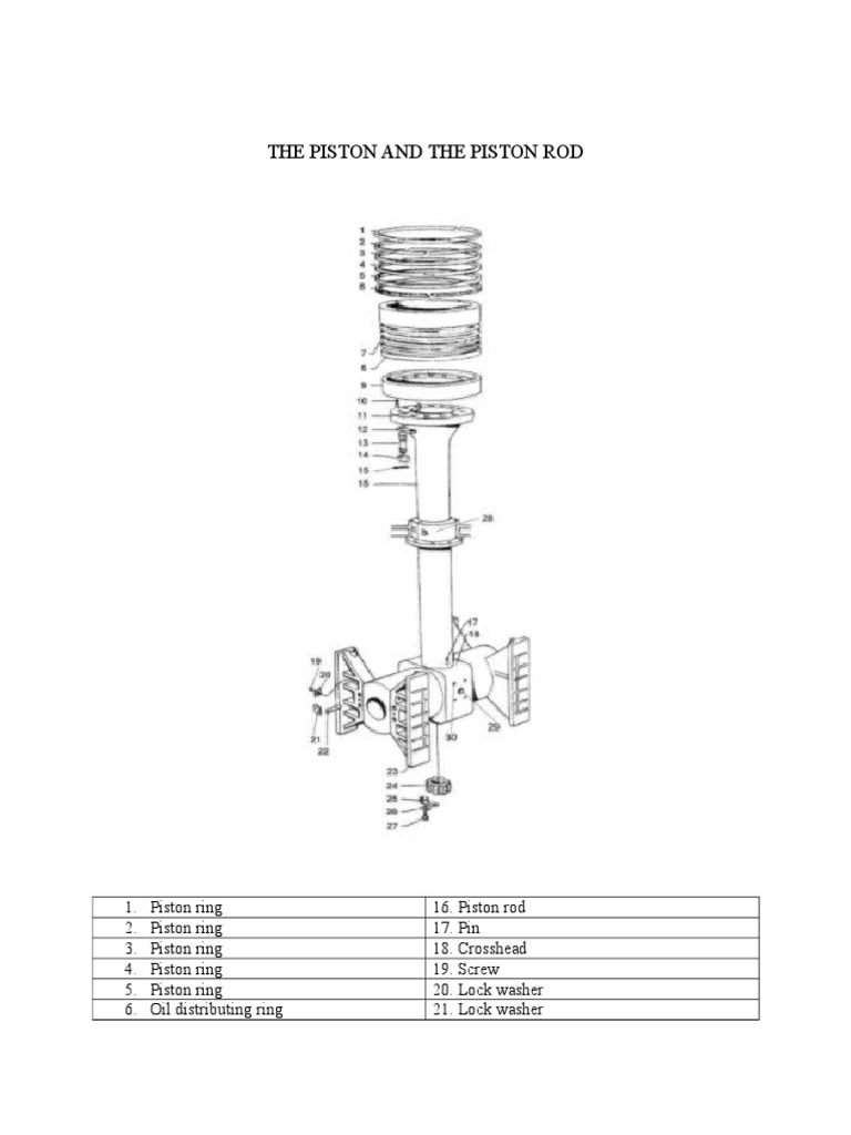 Piston and Rod Components Overview | PDF | Piston | Bearing (Mechanical)