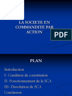 Société en Commandite Par Action