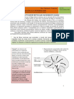 Sistema Activador Reticular Ascendente Sara