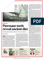 Pterosaur Teeth Reveal Ancient Diet: More Online