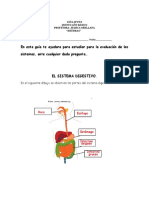 guía de apoyo de los sistemas