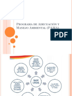 Programa de Adecuación y Manejo Ambiental (PAMA)