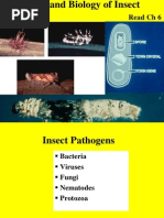 Download Insect Pathogen 2 by carltonbiotech SN37912868 doc pdf