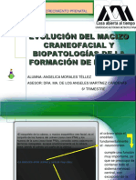 Biopatologia PDF