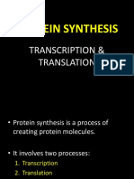 Microbiology Presentation - Protein Synthesis