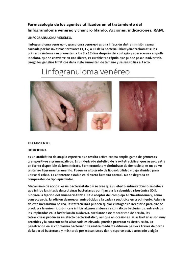 El Tratamiento Del Linfogranuloma Venéreo y Chancro Blando | PDF ...