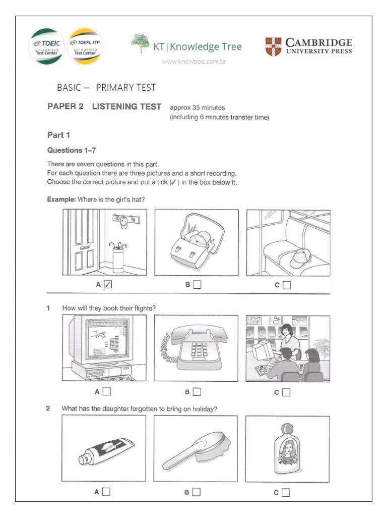 Basic Primary Test Overview | PDF