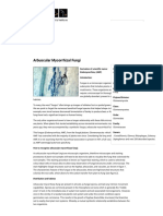 Arbuscular Mycorrhizal Fungi _ SANBI.pdf