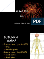 Kuliah 1 Neurosains Saraf Tepi 2017