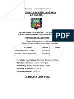 Año Del Diálogo y La Reconciliación Nacional