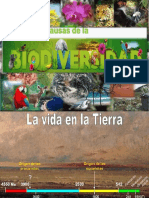 biodivers teorias