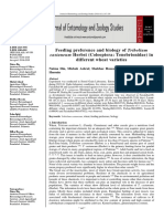 Castaneum Herbst (Coleoptera: Tenebrionidae) In: Feeding Preference and Biology of Tribolium Different Wheat Varieties