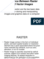 Difference Between Raster