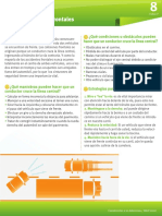Colisiones Frontales PDF