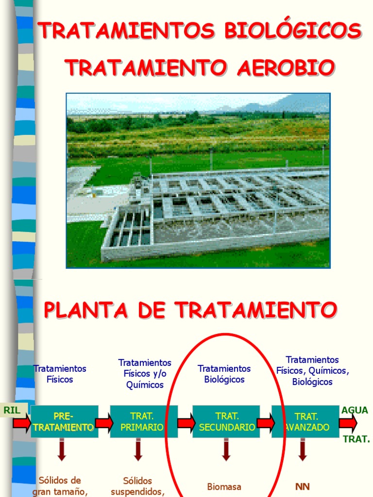 Tratamiento Aerobio | PDF | Gasolinera | Agua