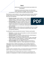 Tema 3 casalinovo.docx