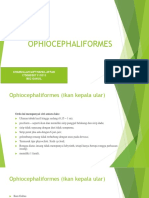 Ordo Ophiocephaliformes