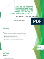 Análisis de Riesgos e Incertidumbre Evaluación Proyectos P&G