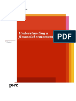 PWC Understanding Financial Statement Audit PDF
