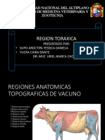 Anatomia Topografica