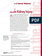 Acute Kidney Injury Review 2017