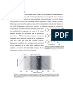 Expo de Optica Fisiologiaca