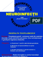 11b Infectiile SN 2 — Копия