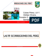 Ecorregiones Del Peru 1