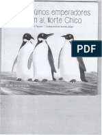 Los Pinguinos Emperadores Llegan Al Norte Chico